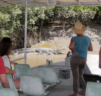 Whitsunday Crocodile Safari - Accommodation Batemans Bay