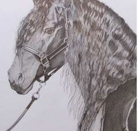 Great Lakes Art Society