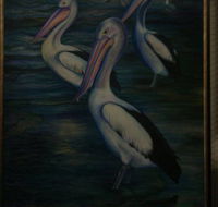 Charlie Moore - Accommodation Batemans Bay