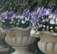 Gardenalia Open Garden and Rare Plant Nursery - Accommodation Batemans Bay