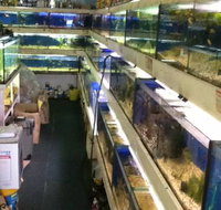 Clearwater Aquariums - Accommodation Batemans Bay