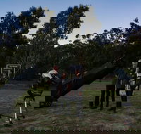 Stargazing Busselton with Mobile Observatory - Accommodation Batemans Bay