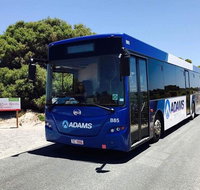 Rottnest Bayseeker Bus Tour from Hillarys Boat Harbour - Accommodation Batemans Bay