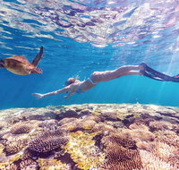 7-Day Exmouth Explorer via Pinnacles Monkey Mia Ningaloo Reef returning to Perth - Accommodation Batemans Bay