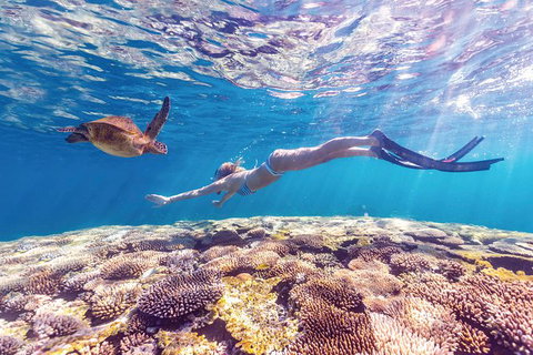 7-Day Exmouth Explorer Via Pinnacles Monkey Mia Ningaloo Reef Returning To Perth - Accommodation Batemans Bay 0