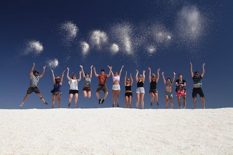 7-Day Exmouth Explorer Via Pinnacles Monkey Mia Ningaloo Reef Returning To Perth - Accommodation Batemans Bay 1