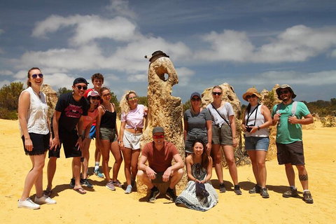 7-Day Exmouth Explorer Via Pinnacles Monkey Mia Ningaloo Reef Returning To Perth - Accommodation Batemans Bay 10
