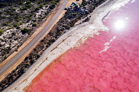 7-Day Exmouth Explorer Via Pinnacles Monkey Mia Ningaloo Reef Returning To Perth - Accommodation Batemans Bay 5