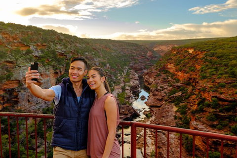 7-Day Exmouth Explorer Via Pinnacles Monkey Mia Ningaloo Reef Returning To Perth - Accommodation Batemans Bay 2
