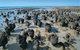 7-Day Exmouth Explorer Via Pinnacles Monkey Mia Ningaloo Reef Returning To Perth - thumb 9