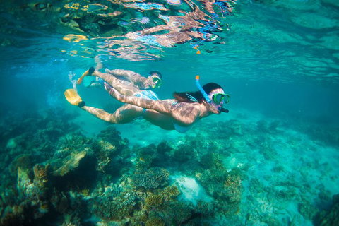 7-Day Exmouth Explorer Via Pinnacles Monkey Mia Ningaloo Reef Returning To Perth - Accommodation Batemans Bay 13
