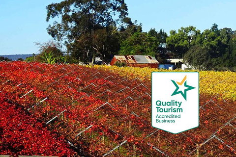 Swan Valley Wine Time (Private) Day Tour - Accommodation Batemans Bay 2