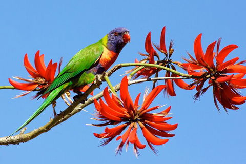 Half Day Perth & Fremantle Highlights - Accommodation Batemans Bay 7