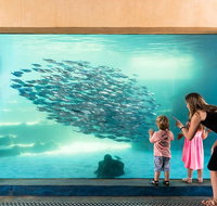 AQWA The Aquarium of Western Australia General Admission - Accommodation Batemans Bay