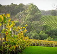 Half-Day Swan Valley  Wildlife Park Tour - Accommodation Batemans Bay