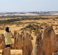 Full-Day Pinnacles Sandboarding and Yanchep National Park from Perth - Accommodation Batemans Bay