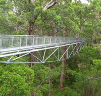 Albany Southwest Wilderness Day Tour - Fly From Perth - Accommodation Batemans Bay