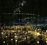 National Anzac Centre Field of Light Panorama Pass - Accommodation Batemans Bay