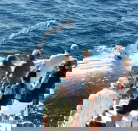 Half-Day Whale Watching Sunset Cruise from Broome - Accommodation Batemans Bay