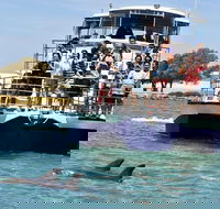 Mandurah Dolphin and Scenic Marine Cruise - Accommodation Batemans Bay