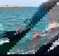 Mandurah Dolphin Island Adventure - Accommodation Batemans Bay