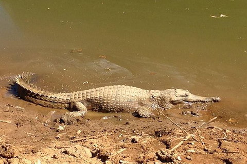 Amazing Windjana Gorge And Tunnel Creek Adventure From Broome - Accommodation Batemans Bay 7