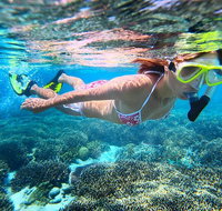 Abrolhos Islands Scenic Flight  Snorkel Adventure from Perth - Accommodation Batemans Bay
