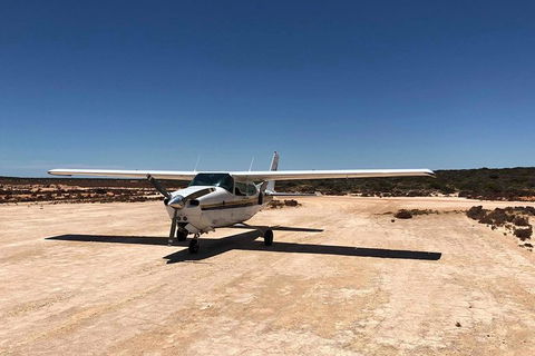 Kalbarri Gorges & West Coast - Ground & Air Tour - Accommodation Batemans Bay 6