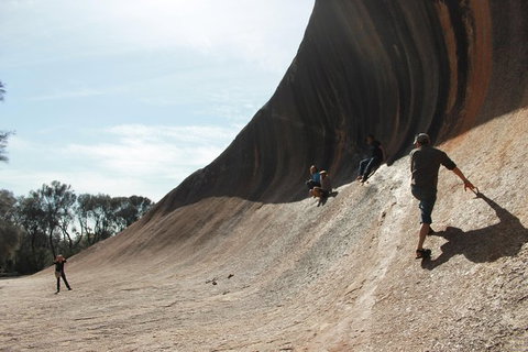 Wave Rock, Pinnacles And Rottnest One Day Aeroplane Tour - Accommodation Batemans Bay 5
