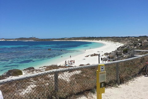 Wave Rock, Pinnacles And Rottnest One Day Aeroplane Tour - Accommodation Batemans Bay 7