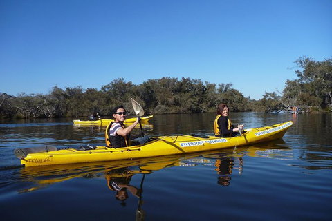 Kayak Tour On The Canning River - Accommodation Batemans Bay 0