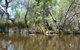 Kayak Tour On The Canning River - thumb 4