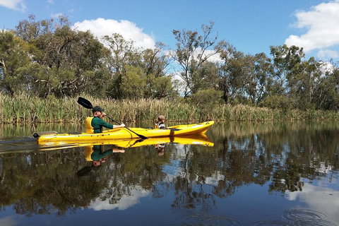 Kayak Tour On The Canning River - Accommodation Batemans Bay 2