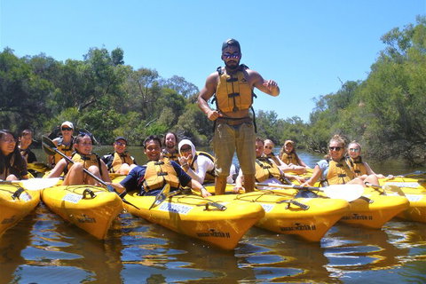 Kayak Tour On The Canning River - Accommodation Batemans Bay 3