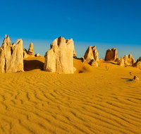 Pinnacles Desert Tour - Accommodation Batemans Bay