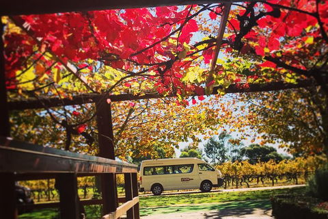 Ultimate Swan Valley Food And Wine Day Trip From Perth - Accommodation Batemans Bay 12