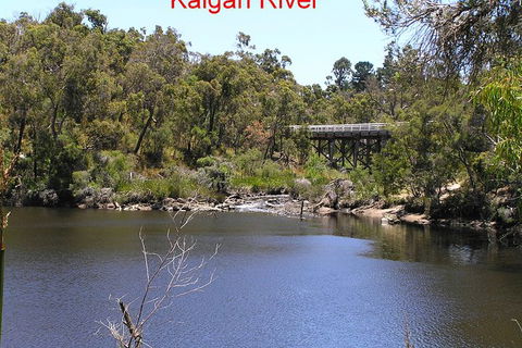 Kalgan Queen Scenic Cruises A Four Hour Sheltered Water Wildlife Tour Daily Fun. - Accommodation Batemans Bay 3