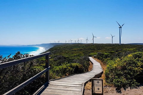 Torndirrup National Park And Bay Highlights - Accommodation Batemans Bay 0