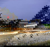 1 Day Private Phillip Island Tour VIP Charter up to 9 People - Accommodation Batemans Bay