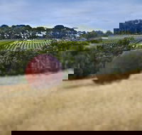 Estate to Plate Montalto Vineyard Gourmet Lunch and Wine-Tasting Tour - Accommodation Batemans Bay