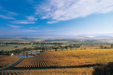 Half Day Yarra Valley Winery Day Trip From Melbourne - Accommodation Batemans Bay 0