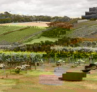Montalto Vineyard Mornington Peninsula Discovery Wine Tasting and Lunch - Accommodation Batemans Bay