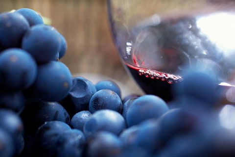 Ultimate Mornington Peninsula Food And Wine Small Group Tour - Accommodation Batemans Bay 1