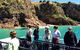 Cape Woolamai Sightseeing Cruise From San Remo - thumb 1