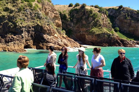 Cape Woolamai Sightseeing Cruise From San Remo - Accommodation Batemans Bay 1