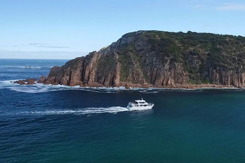 Cape Woolamai Sightseeing Cruise From San Remo - Accommodation Batemans Bay 2