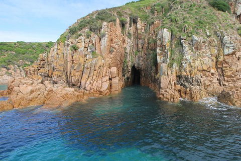 Cape Woolamai Sightseeing Cruise From San Remo - Accommodation Batemans Bay 4
