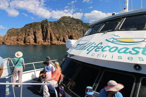 Cape Woolamai Sightseeing Cruise From San Remo - Accommodation Batemans Bay 9