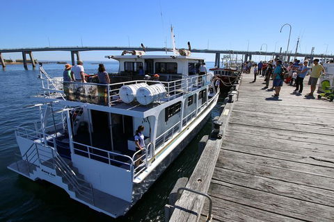 Cape Woolamai Sightseeing Cruise From San Remo - Accommodation Batemans Bay 7