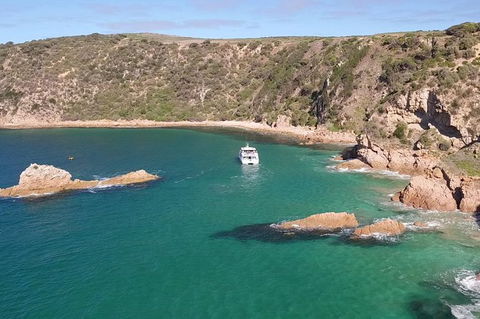 Cape Woolamai Sightseeing Cruise From San Remo - Accommodation Batemans Bay 6